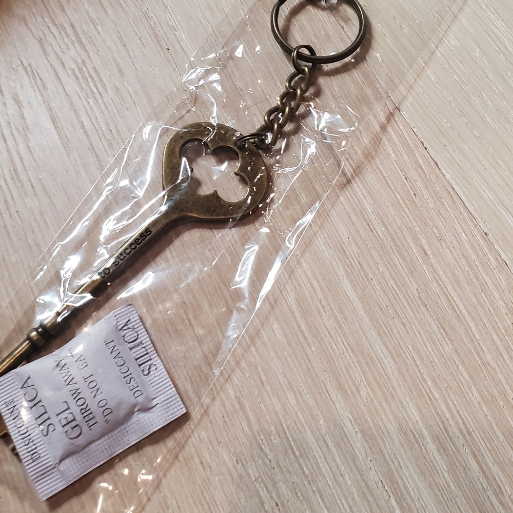 3/$20 Key to Success Key Chain - Picture 2 of 3